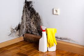 Best Biohazard Mold Removal  in Lawrence, MA